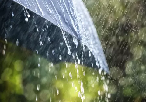 Știința din spatele mirosului ploii, cunoscut sub numele de „petrichor”