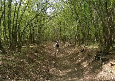 Un animal misterios a fost văzut nu foarte departe de România. Autoritățile din Bulgaria sunt în alertă și au închis Parcul Natural Shumen