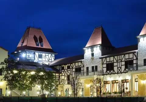 Hotel cu „clinică de bere” cumpărat de stat, la Timișoara. Consiliul județean a plătit 2,1 milioane de euro și-l va converti în secție de psihiatrie 