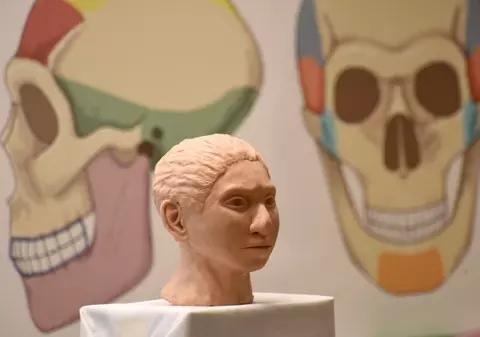 Craniul uriaș „Dragon Man” ar putea fi prima dovadă a omului Denisovan, vărul pierdut al speciei noastre