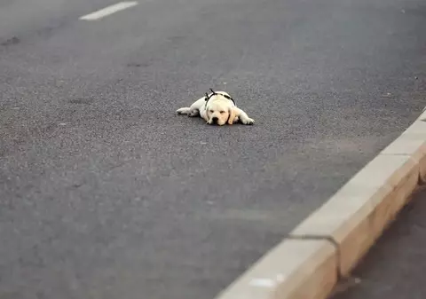 Cum va fi vremea mâine. Prognoza meteo pentru miercuri, 3 septembrie 2025