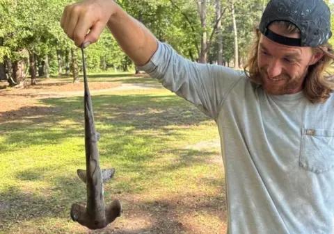 Un pui de rechin-ciocan a căzut din cer peste mai mulți jucători de golf: „N-am văzut niciodată unul în realitate” | VIDEO