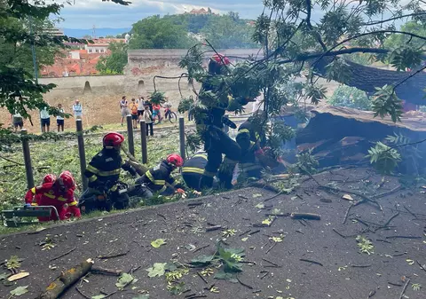 Un tânăr a murit în Brașov, după ce un copac a căzut peste el. Primăria spune că nu avea ce face