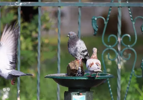 Cum va fi vremea mâine. Prognoza meteo pentru joi, 19 iunie 2025