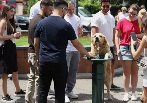 Cum va fi vremea în perioada 16 iunie - 13 iulie 2025. ANM anunță patru săptămâni de caniculă și secetă, în toată România