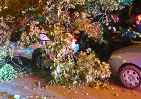 Cine plătește mașina distrusă de un copac căzut. Un caz concret din Iași