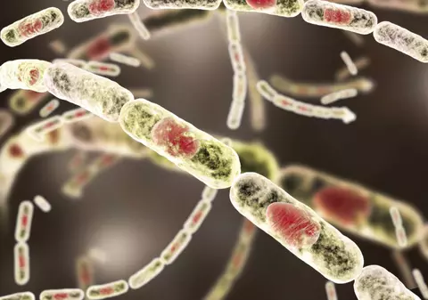 Două cazuri de antrax au fost confirmate în România. În ce stare sunt pacienții