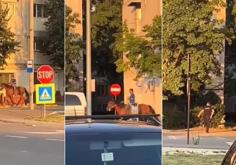 Un bărbat călare pe cal a fost urmărit de polițiști înarmați pe străzile din Focșani