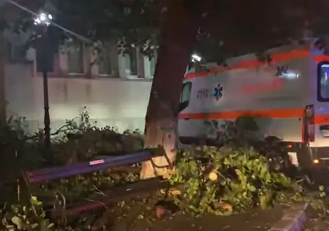 Un copac s-a prăbușit peste o ambulanță în curtea Spitalului Clinic Dr. C.I. Parhon din Iași
