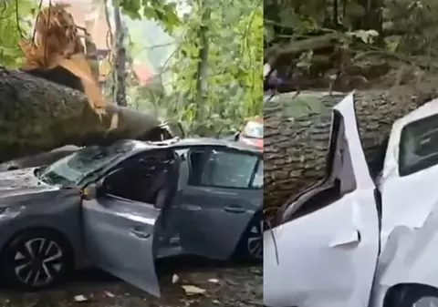 Noi imagini după prăpădul din Sinaia: mașini făcute praf de copacii puși la pământ de furtună, lângă Castelul Peleș