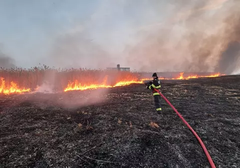Incendiu de proporții în Brăila: peste 150 de hectare de culturi arse între Muchea și Siliștea