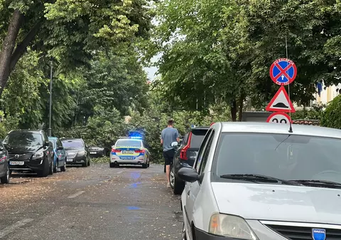 Furtuna din București a blocat străzi întregi, vântul a doborât copacii și a făcut imposibilă trecerea și pentru pietoni