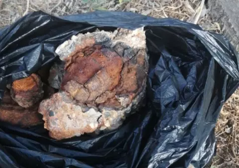 O fetiță a luat o piatră ca suvenir de pe plajă, iar un an mai târziu familia a descoperit ce pericol a adus, de fapt, acasă