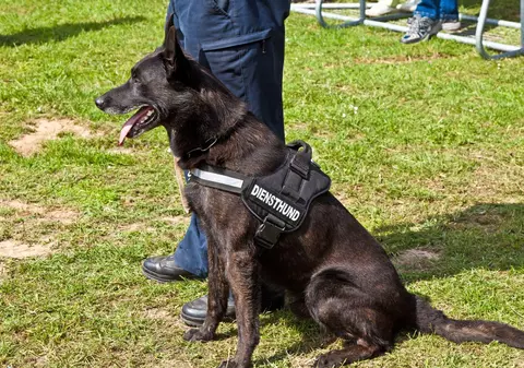 Descoperirea care a închis cel mai mare parc de distracții din Germania: ce a găsit un muncitor într-o pungă abandonată