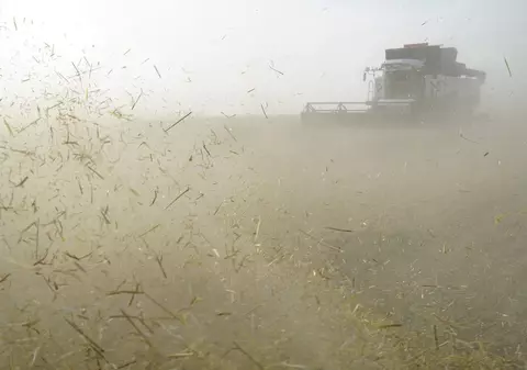 Noi probleme pentru Kremlin: principalele regiuni agricole din Rusia anunță o prăbușire a producției de grâu, porumb și floarea-soarelui