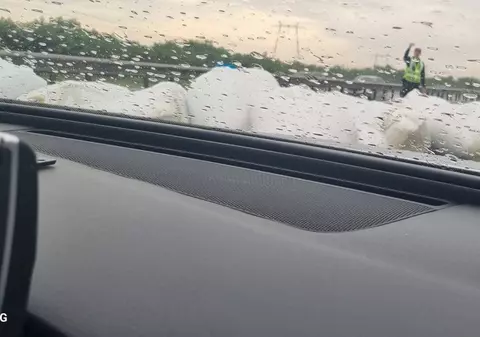 Autostrada Bucureşti-Piteşti e blocată de sacii de cereale căzuți dintr-un TIR. Se circulă pe banda de urgență