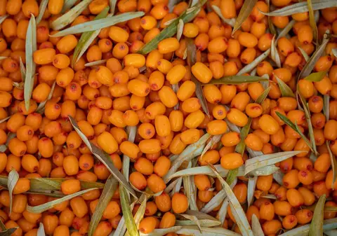 Suferi de deficit de vitamina A? Descoperă fructul care conține de 3 ori mai mult betacaroten decât morcovul!