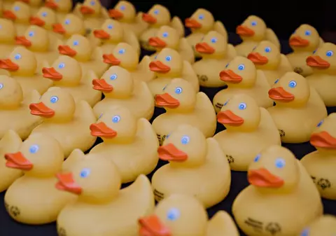 Dai zece dolari, dar pleci acasă cu un Chevy Trailblazer. Cum a arătat cursa nebună între 82.000 de rățuște pe râul Chicago | VIDEO