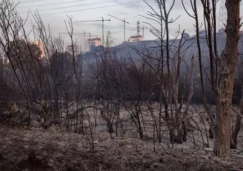 Un român a murit în incendiile de vegetație din Spania. Lucra la o fermă de cai care a ars din temelii