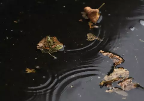 Florinela Georgescu, director ANM, anunță că temperaturile continuă să scadă. Când vine din nou căldura