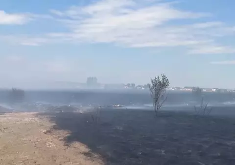 Incendiu puternic de vegetație la ieșirea din Craiova. A fost emis mesaj RO-Alert din cauza degajărilor mari de fum