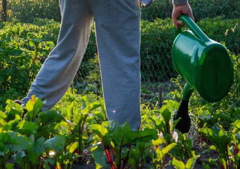 Beneficiile surprinzătoare ale grădinăritului. Cum îți poate îmbunătăți săpatul în grădină starea de spirit