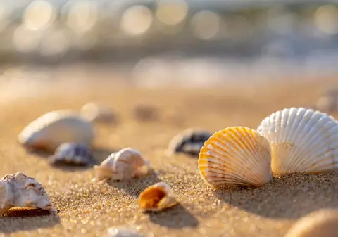 O destinație din Europa preferată de români aplică amenzi de peste 1.000 de euro turiștilor care adună pietricele sau scoici de pe plajă