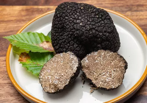 Zeci de mii de kilograme de „aur negru” au fost culese ilegal din Bacău