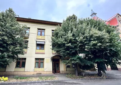 „Îți adaptezi traseele după frică”: Locuitorii din Timișoara spun că deplasările la magazin au devenit o sursă de stres și autoritățile îi ignoră