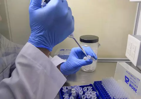 Bacteria Serratia: cât de periculoasă este și ce tratament există