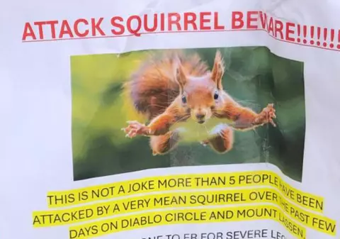 O veveriță „foarte rea” a trimis doi oameni la camera de gardă și a înspăimântat un cartier din California: „A venit de nicăieri” | VIDEO