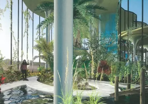 Primăria Craiova cheltuie 1,6 milioane € pe o seră tropicală la Grădina Botanică, în timp Guvernul taie din bugete