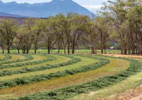 Gaterele din România profită de defrișările pădurilor seculare, Austria luptă pentru și mai puțin control la Bruxelles