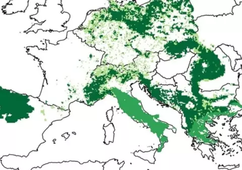 Animalul aflat odată în pericol de dispariție și care s-a întors în pădurile României. Harta prezenței în Europa