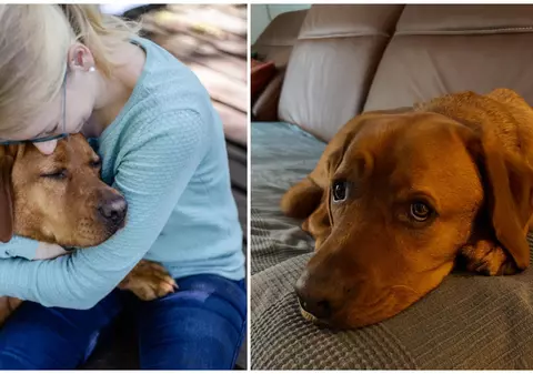 Cum și-a salvat un câine stăpâna cu probleme cardiace de trei ori: „Sunt recunoscătoare”