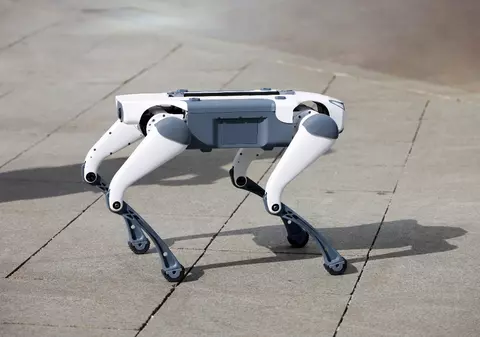 China trimite câini roboți pe străzi care detectează parcări ilegale, filmează infracțiuni și le vorbește trecătorilor