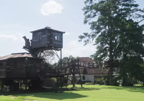Un miliardar și-a construit o casă în copac de 400.000 de dolari, pe trei etaje – cu bar și vitralii | VIDEO