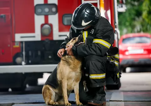 Cum a salvat un câine o familie dintr-un incendiu, în ultimul moment: „Poate că nu am mai fi fost aici să povestim”