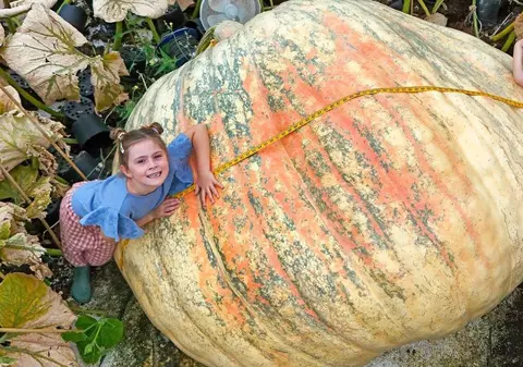 Cel mai mare și mai lung dovleac din lume cântărește peste 1.200 de kilograme și a fost crescut de gemeni