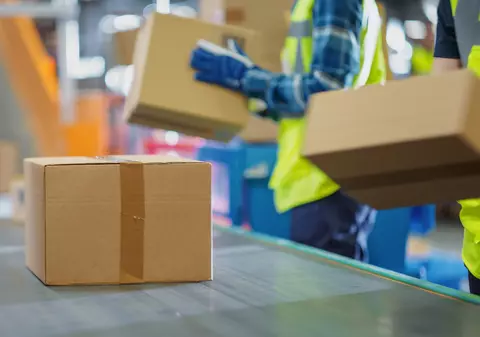 Doi tineri au comandat produse în valoare de 100.000 de lei, iar unul s-a angajat curier la firma care le livra, a furat coletele și a abandonat mașina în drum