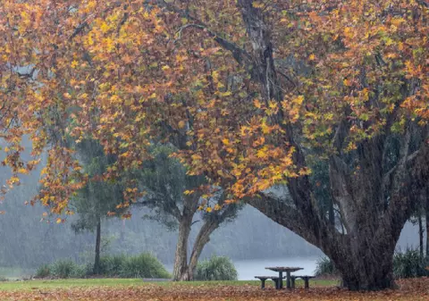 Cum va fi vremea în noiembrie 2025. Florinela Georgescu, director ANM, anunță temperaturi neobișnuite în ultima lună de toamnă