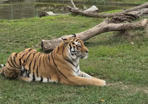 Mutarea Grădinii Zoologice din Oradea, încă fără soluție după cinci ani și trei variante ratate