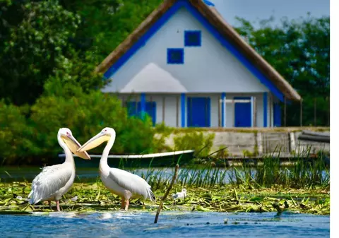 Cazare în Delta Dunării la Pensiunea Obretin