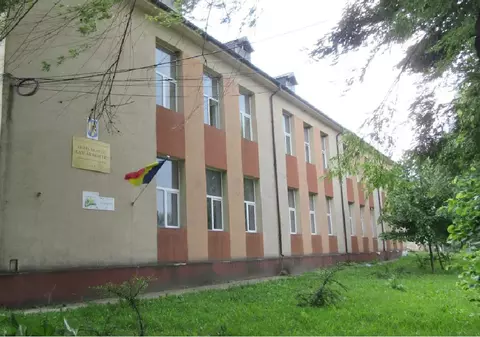 O profesoară de biologie din Iași este acuzată că face videochat în timpul liber: „Se știe de câteva zile, așa susțin elevii”