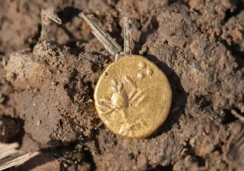 O comoară celtică veche de 2.500 de ani, descoperită de arheologi într-un loc secret din Cehia