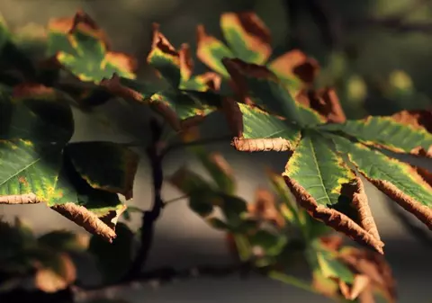 Cum va fi vremea în București în următoarele zile. Temperaturile sar de normalul perioadei