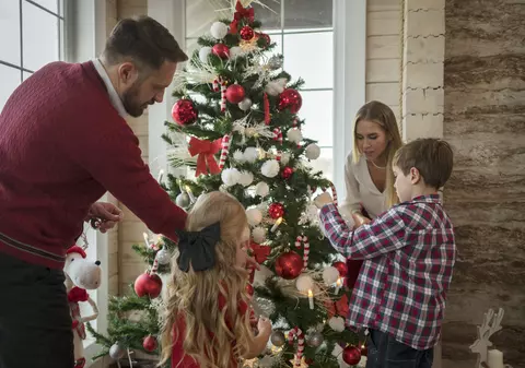 Care este bugetul românilor pentru bradul de Crăciun? Ce spun cele mai recente cifre despre brazii naturali și cei artificiali