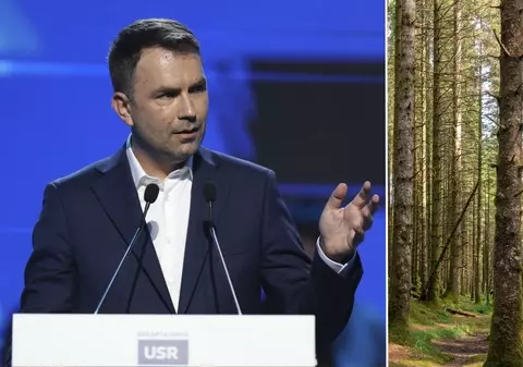 Cătălin Drulă vrea să planteze un milion de copaci în București, în următorii cinci ani