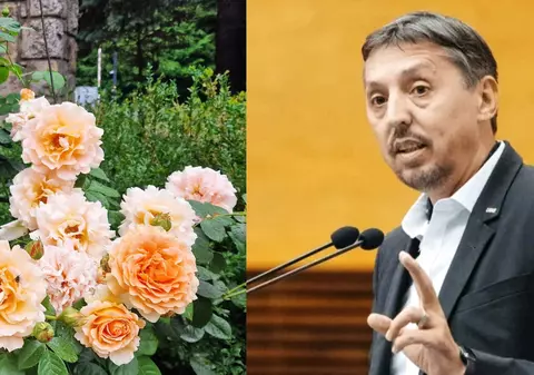 Aventurile financiare ale ministrului Daniel David: 50.000 de euro pentru a studia efectul parfumului de trandafir asupra creierului