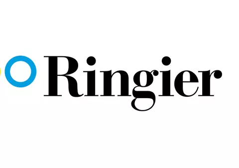 Transparența privind publicitatea electorală PSD